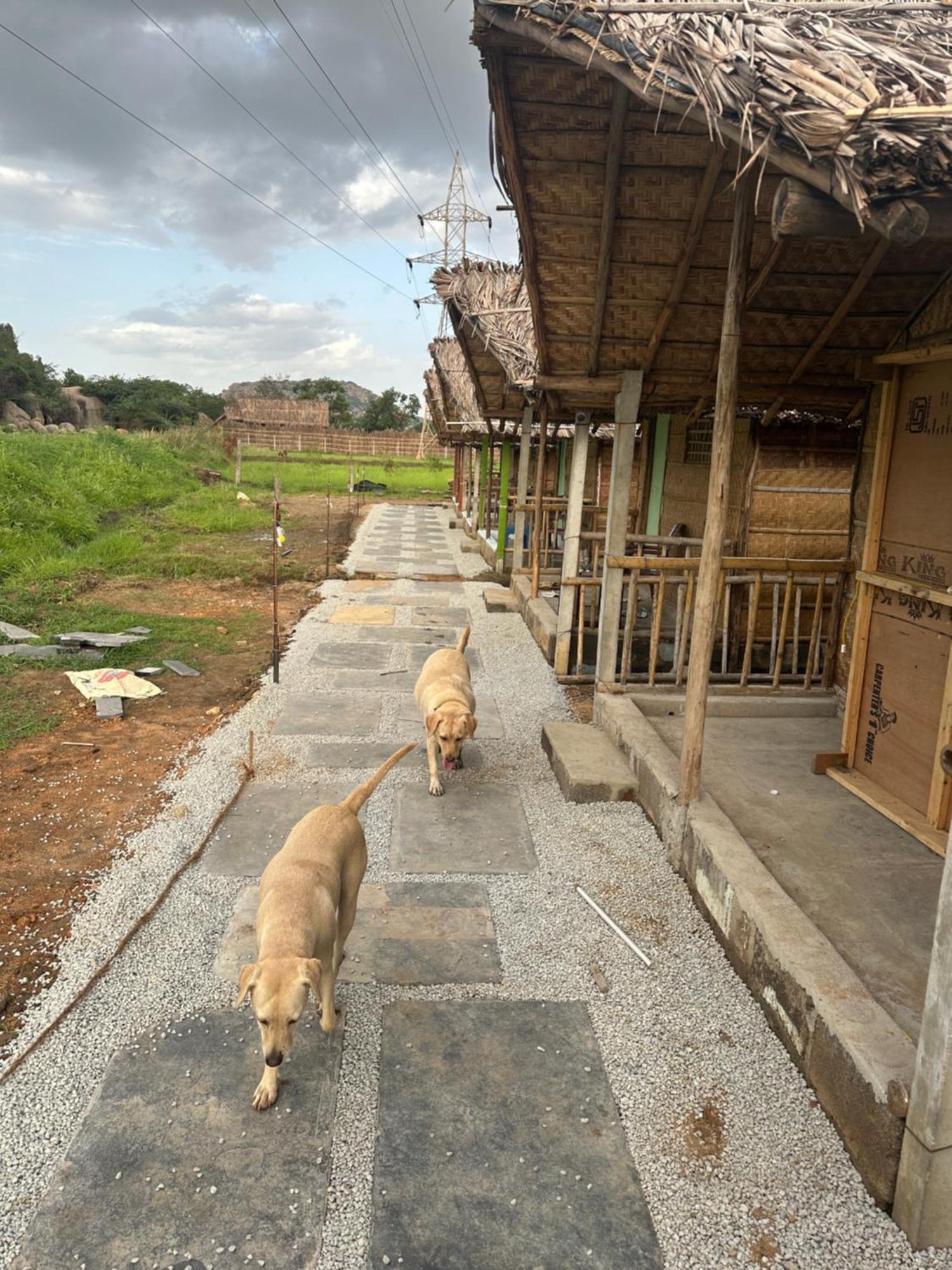 The Gravity Cafe -A Unit Of Staychillhampi Extérieur photo